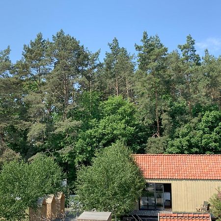 Barcelona Rooms Mikoszewo Dış mekan fotoğraf
