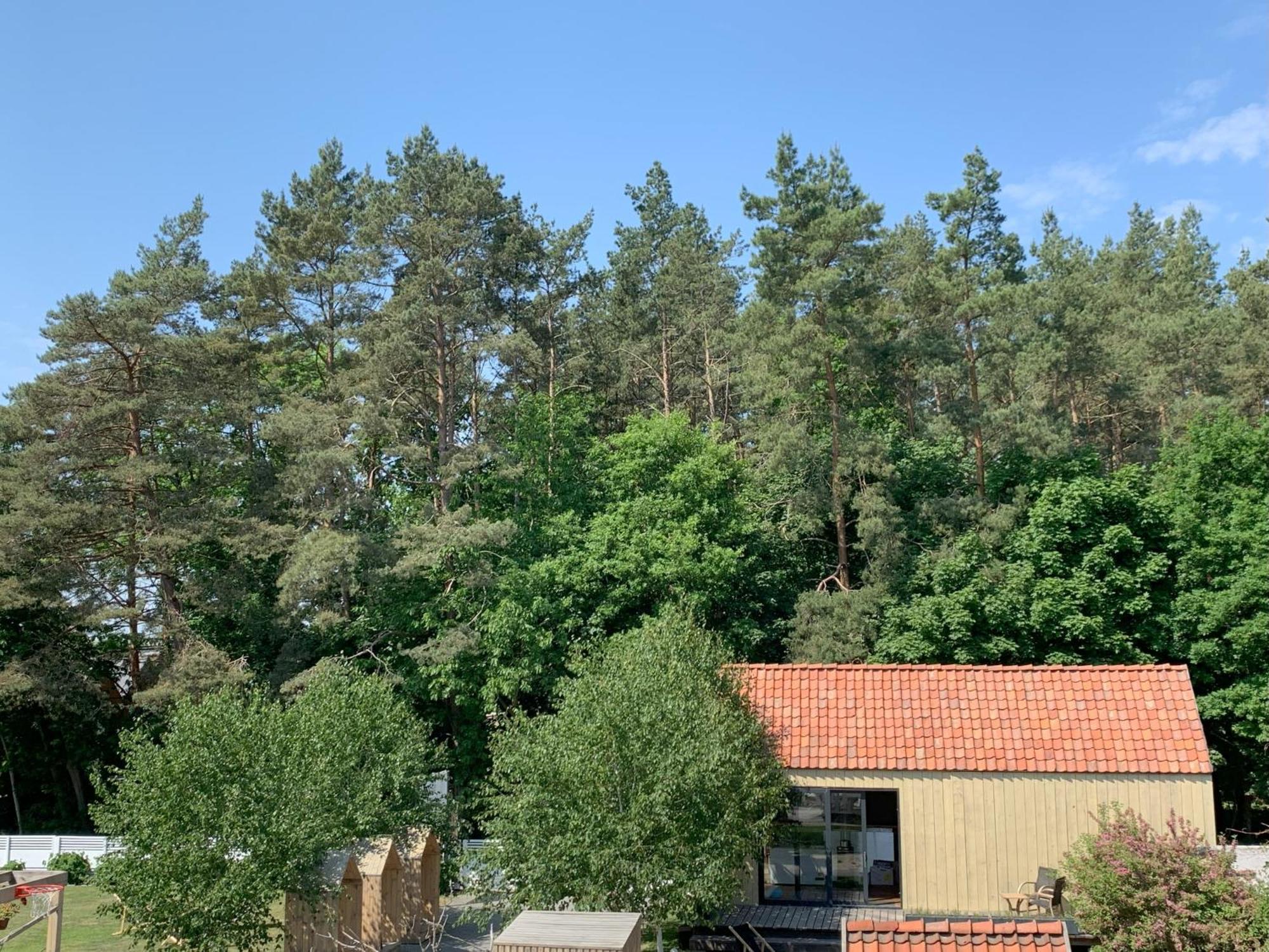 Barcelona Rooms Mikoszewo Dış mekan fotoğraf